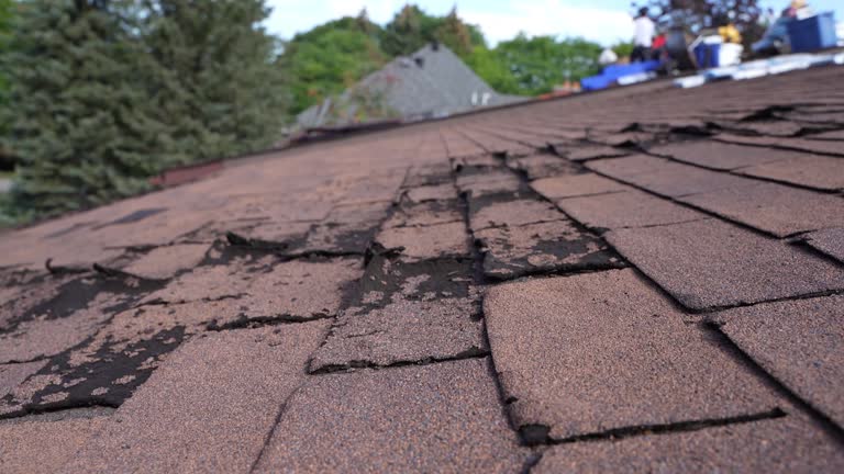 Fast & Reliable Emergency Roof Repairs in Salamatof, AK